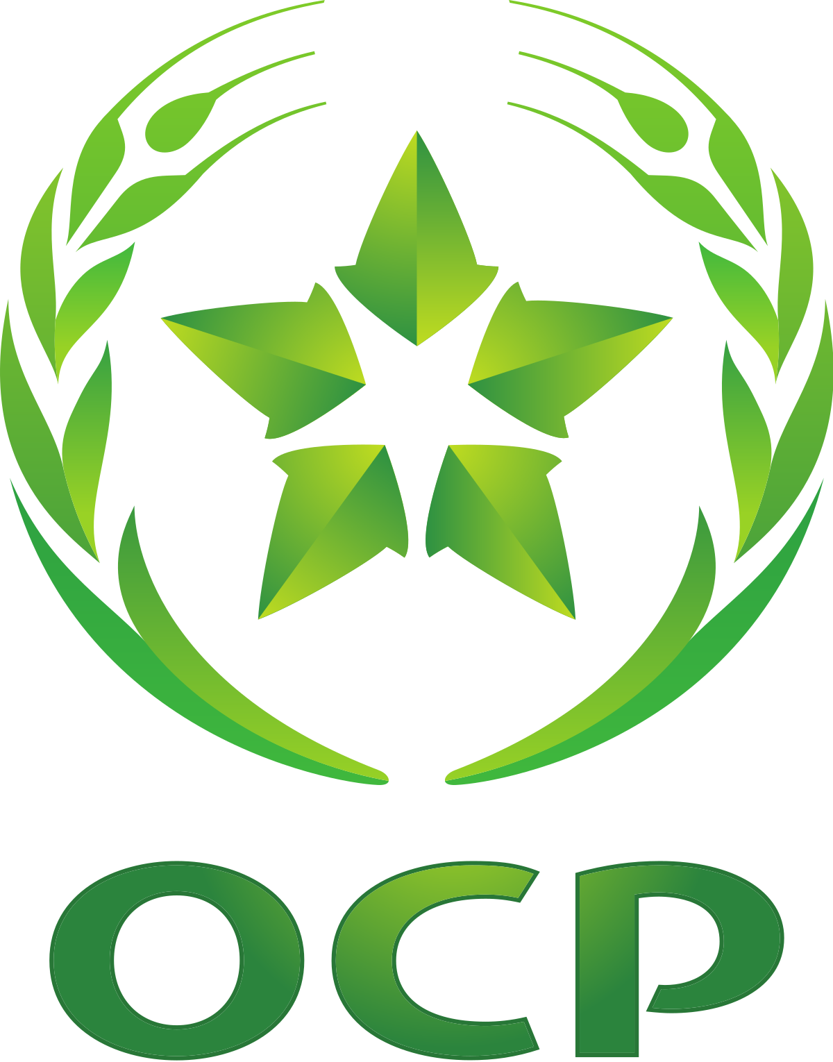 Le programme d’investissement vert de l’OCP à l’appui de l’émergence d’un écosystème national industriel innovant (expert)  